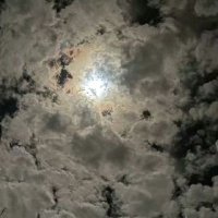 malak (@malak_551l) Twitter profile photo