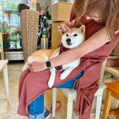 NeiroCTO's profile picture. The original neiro failed, it's time for a CTO to save this dog.