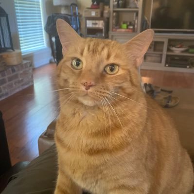 bigRED6565's profile picture. 