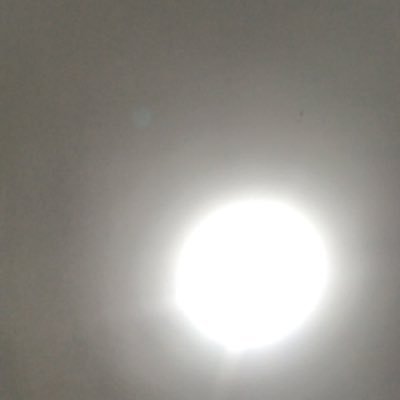 nessa_mg's profile picture. 