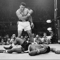 MMA CASUAL (@scc_105) 's Twitter Profile