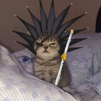 Chucklyberry's profile picture. Recharges in my sleep 😴 

https://t.co/LE5VdMI1Ak