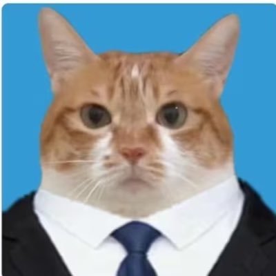 jmeng9796's profile picture. 