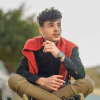 معاند الليل (@mandallyl54) 's Twitter Profile