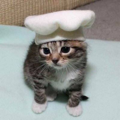 alrdhay's profile picture. 