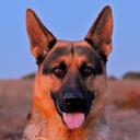 Abel Saiz Lopez - @AbelSaizLopez - Twitter