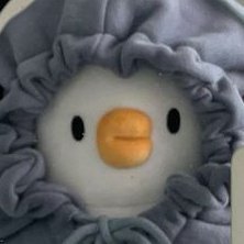 곶감さんのプロフィール画像