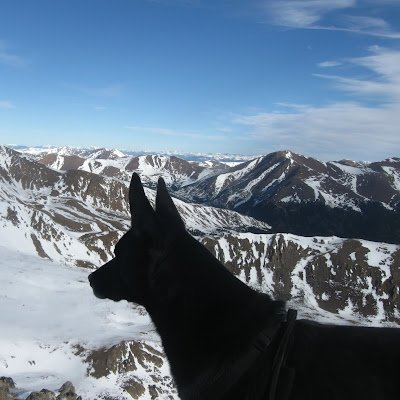 BenZunb53083's profile picture. 