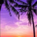 Kathy Meade - @KathyMeade42575 - Twitter