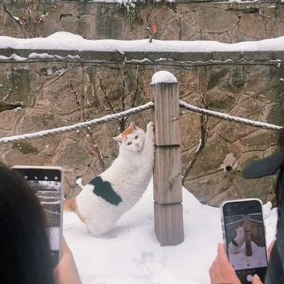 LinaAnd26079702's profile picture. 