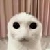 Kenji (@sillybingus24) Twitter profile photo Kenji (@sillybingus24) Twitter profile photo