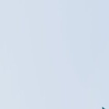 jeoi288150's profile picture. 