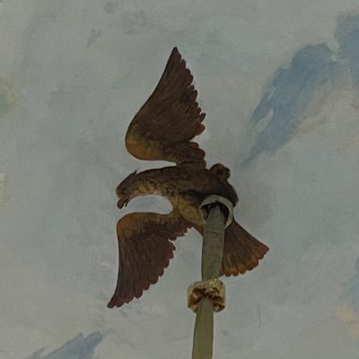 excellenceloser's profile picture. international superstar