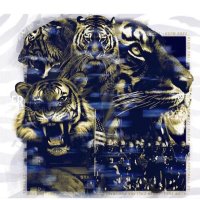 Klein Collins Football Booster Club (@kcfbbooster) 's Twitter Profile