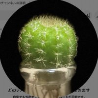 くろっ (@bananana7_7) Twitter profile photo