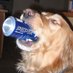 Borgerdog (@borgerdog1) Twitter profile photo Borgerdog (@borgerdog1) Twitter profile photo