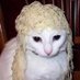 Stephen (@gaslighter6924) Twitter profile photo Stephen (@gaslighter6924) Twitter profile photo