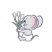 みさ (@m1nr1_w) 's Twitter Profile