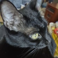 Winterkills2 (@dcpurcellgeorge) 's Twitter Profile