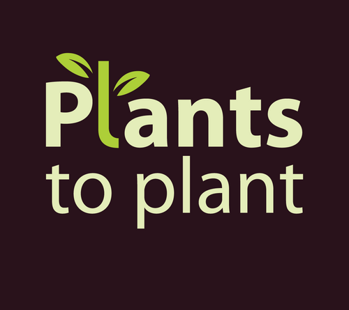 An online retailer specialising in unusually good plants - http://t.co/3yhVIhvjQ1 - Get in touch with your questions