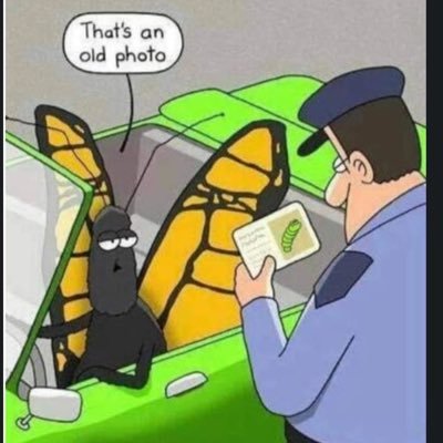 Richardmile231's profile picture. #art#lifestyle🥷🏻🥷🏻 Manutd❤️