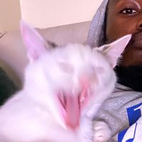 He8🏴☠️ (@eric_mandi) 's Twitter Profile Photo He8🏴☠️ (@eric_mandi) 's Twitter Profile Photo