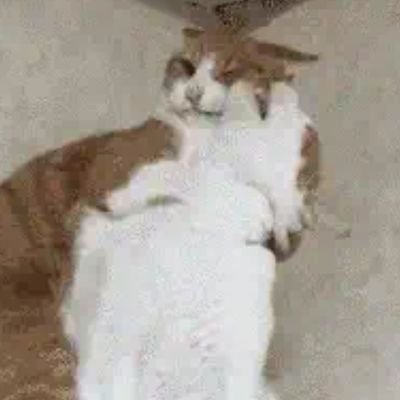 kanten_don's profile picture. 