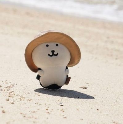 shim4さんのプロフィール画像