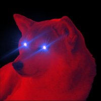 DARK NEIRO CTO (@darkneirosolana) 's Twitter Profile Photo