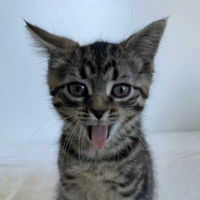 doubleshafra's profile picture. 