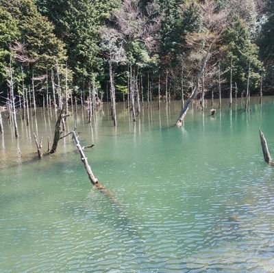 rioh519839's profile picture. 