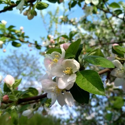 KarinaGodlewska's profile picture. ☞