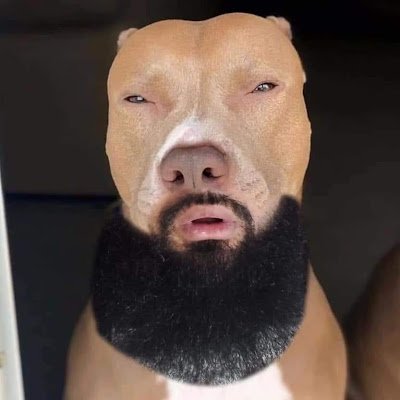 wsp_shawty19's profile picture. 