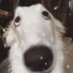 Kris Hudson (@krishud39210364) Twitter profile photo Kris Hudson (@krishud39210364) Twitter profile photo
