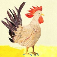 ΩData science RoosterΩ (@datarooster) 's Twitter Profile