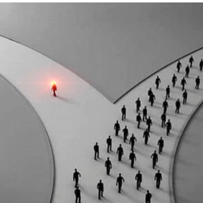 btcmax88's profile picture. BTC maximalist