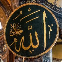 Ibrahim_Yoshi (@ibrahimyos48801) 's Twitter Profile