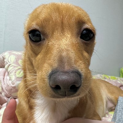 Notsailor_pri's profile picture. Sailor T's priv
25
Yapping about Hecate like there's no tomorrow

🥔🥔