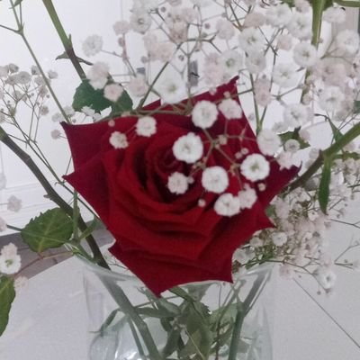 RosineB65's profile picture. 