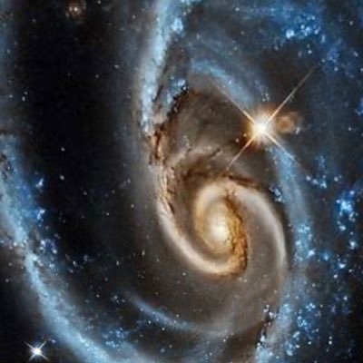 Books, mathematics, science, the origin of the universe, and beauty in patterns.