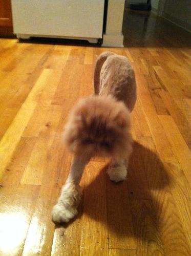 jjoanathon's profile picture. 