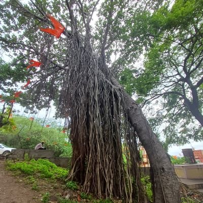 desh_bandhav's profile picture. #Marathwadamatters