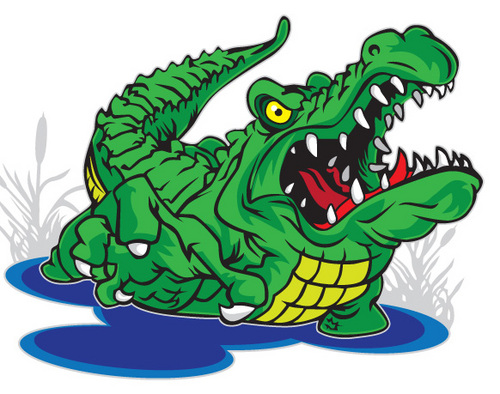 VolusiaGator's profile picture. 