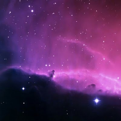 nhan_vui's profile picture. 