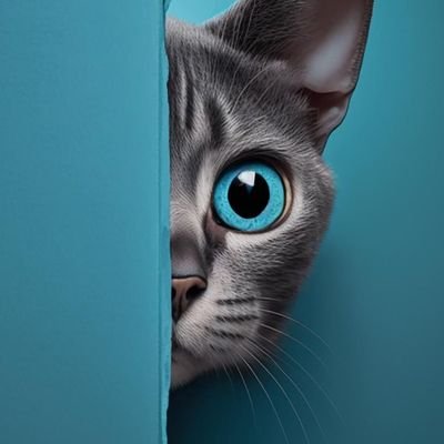 Ts6894Tshepang's profile picture. 