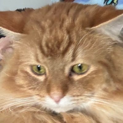 Pullmyfinger69_'s profile picture. 