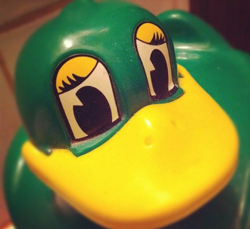 JOKESDUMB's profile picture. 