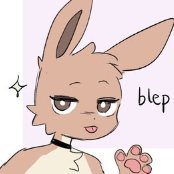 noheoshavin's profile picture. 