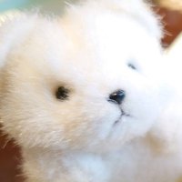 ふぅ (@funosyashin) Twitter profile photo