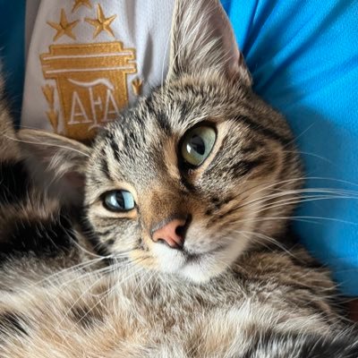 iBazzers's profile picture. 